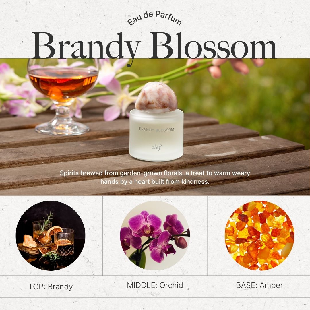 CLEF Little Delights Brandy Blossom 50ml perfume, scent details