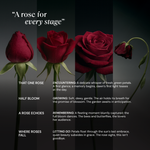 CLEF Where Roses Fall 50ml rose perfume – A Rose For Every Stage collection, key feature 1