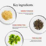 CLEF Tea Core Oolong Tea & Rose Body Wash 500ml – Tea Core collection key feature 4