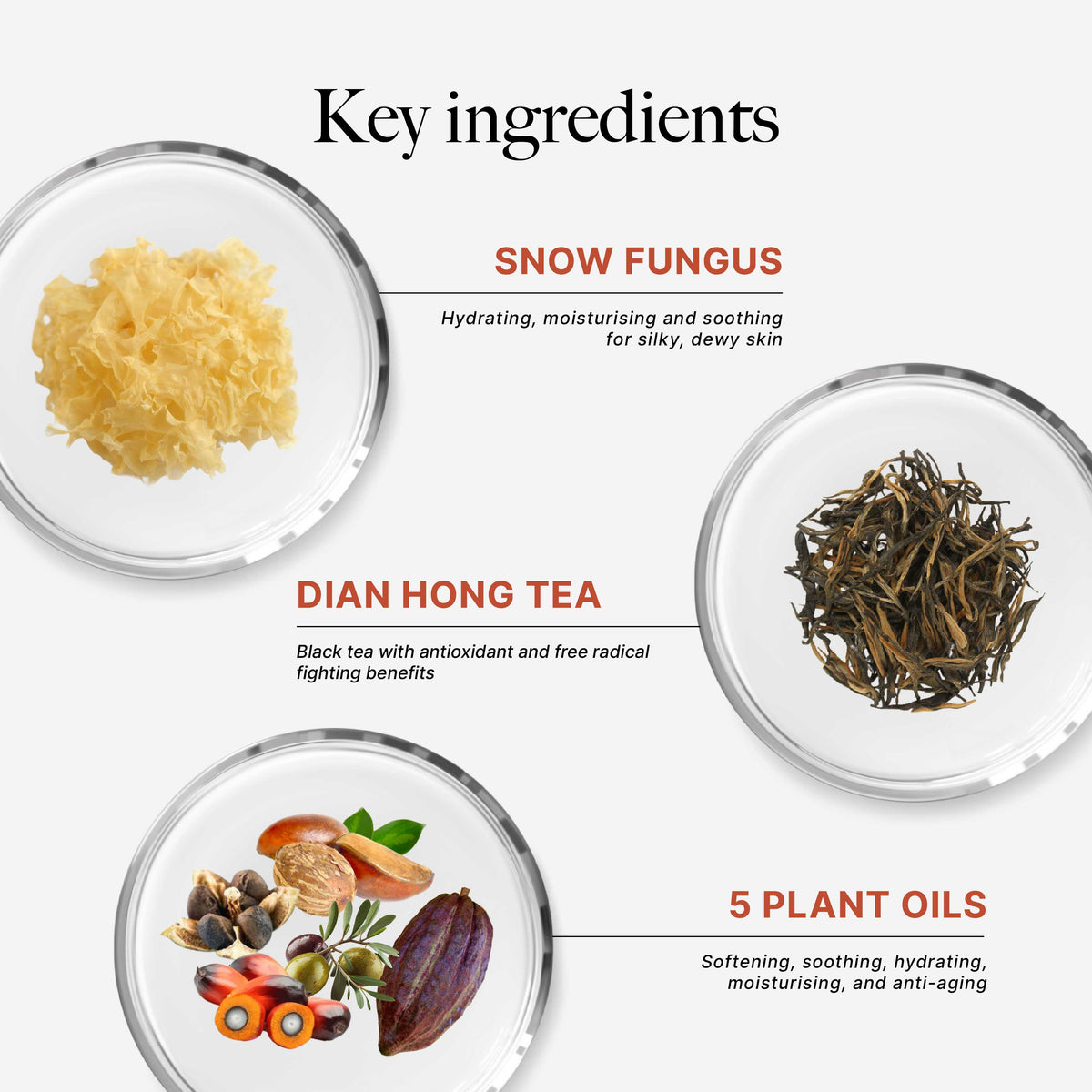 CLEF Tea Core White Tea & Gardenia Body Wash 500ml – Tea Core collection key feature 7