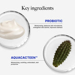 CLEF Probiotic Nourishing Overnight Mask, key ingredients