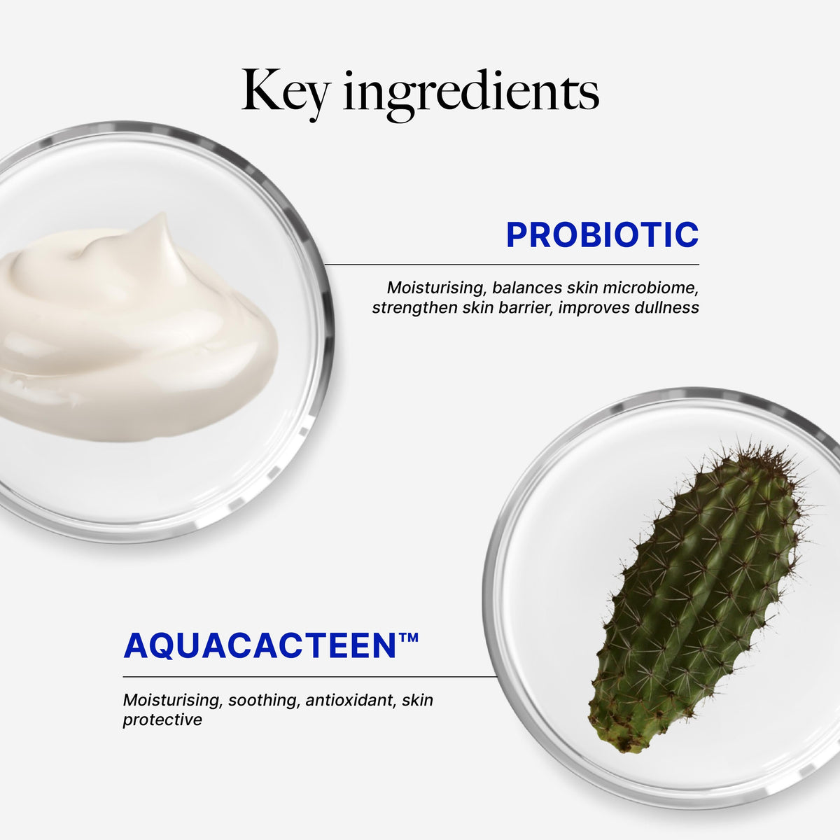 CLEF Probiotic Nourishing Overnight Mask, key ingredients