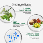 CLEF Multi-Herbal Repairing Overnight Mask, key ingredients